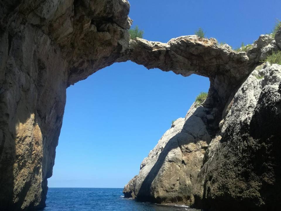 Ferienwohnung Aspra Al Delfino Blu Bagheria Exterior foto